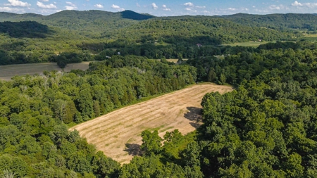 364 acres Premier Managed Land For Sale in Adams County Ohio - image 31