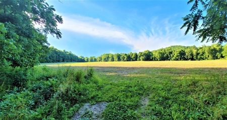 364 acres Premier Managed Land For Sale in Adams County Ohio - image 16