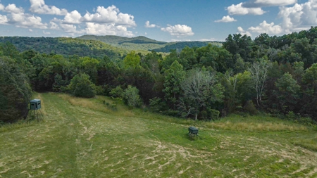 364 acres Premier Managed Land For Sale in Adams County Ohio - image 33