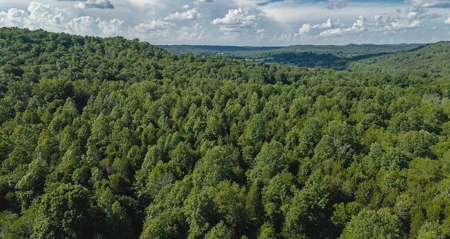 364 acres Premier Managed Land For Sale in Adams County Ohio - image 30