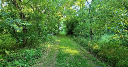 364 acres Premier Managed Land For Sale in Adams County Ohio - image 18