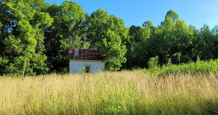 364 acres Premier Managed Land For Sale in Adams County Ohio - image 8