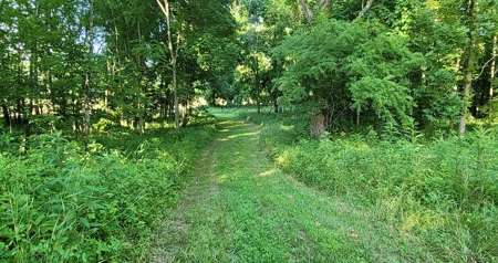 364 acres Premier Managed Land For Sale in Adams County Ohio - image 10