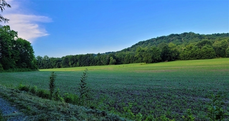 364 acres Premier Managed Land For Sale in Adams County Ohio - image 26