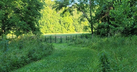 364 acres Premier Managed Land For Sale in Adams County Ohio - image 13