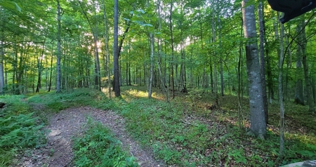 364 acres Premier Managed Land For Sale in Adams County Ohio - image 21