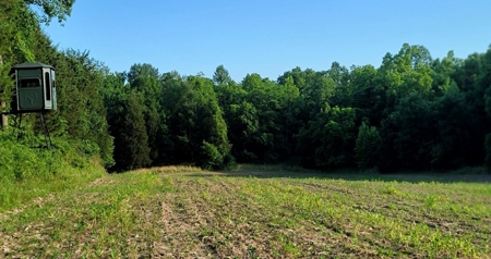 364 acres Premier Managed Land For Sale in Adams County Ohio - image 23