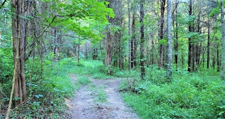 364 acres Premier Managed Land For Sale in Adams County Ohio - image 19