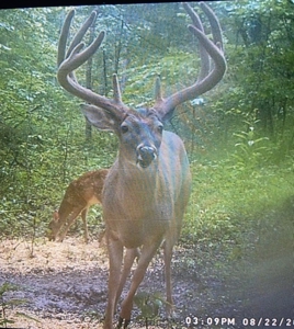Big White Oak Timber 52 acres located in Adams County Ohio - image 27