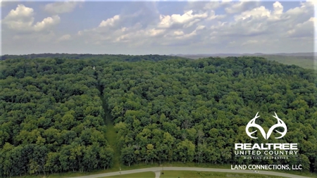 Big White Oak Timber 52 acres located in Adams County Ohio - image 4