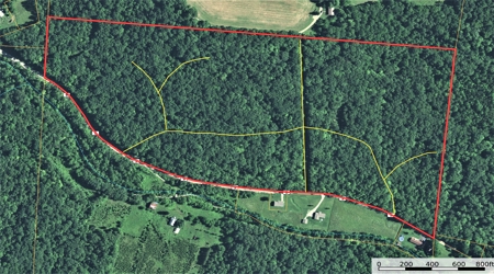 Big White Oak Timber 52 acres located in Adams County Ohio - image 24