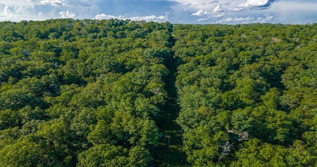 Big White Oak Timber 52 acres located in Adams County Ohio - image 25