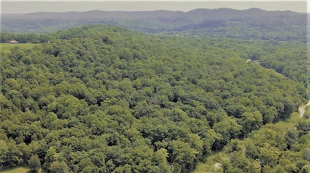 Big White Oak Timber 52 acres located in Adams County Ohio - image 3