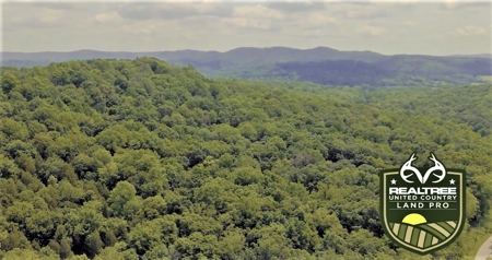 Big White Oak Timber 52 acres located in Adams County Ohio - image 2