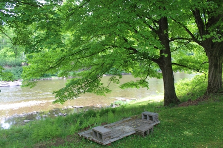 Riverfront on the Lower Beaverkill - image 5