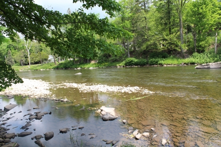 Riverfront on the Lower Beaverkill - image 8