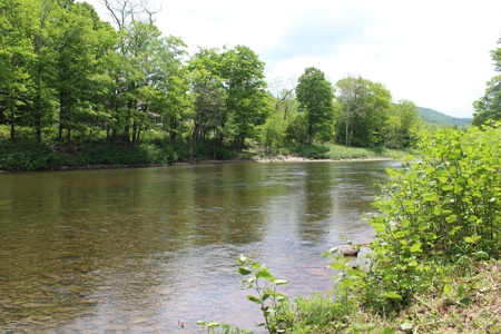 Riverfront on the Lower Beaverkill - image 6
