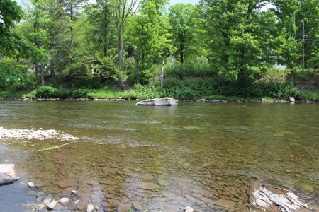Riverfront on the Lower Beaverkill - image 7