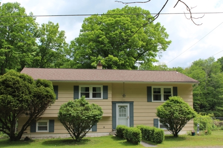 Riverfront on the Lower Beaverkill - image 1