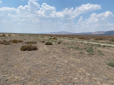 Land for sale near Imlay, NV - image 10