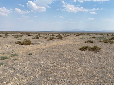 Land for sale near Imlay, NV - image 12