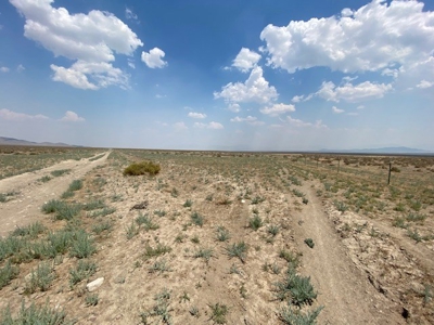 Land for sale near Imlay, NV - image 2