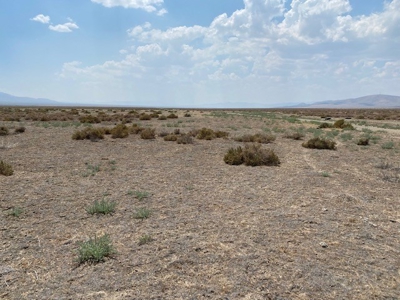 Land for sale near Imlay, NV - image 14