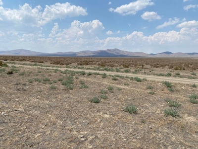 Land for sale near Imlay, NV - image 13