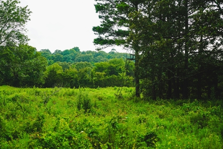 Home And Cabin Site For Sale In Southeast Oklahoma - image 10