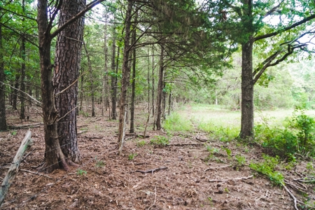 Home And Cabin Site For Sale In Southeast Oklahoma - image 12