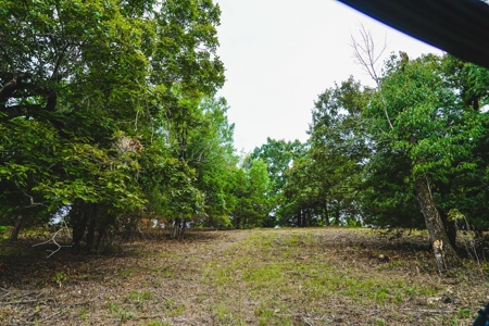 Home And Cabin Site For Sale In Southeast Oklahoma - image 23