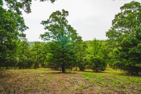 Home And Cabin Site For Sale In Southeast Oklahoma - image 26