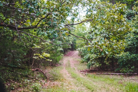 Home And Cabin Site For Sale In Southeast Oklahoma - image 2