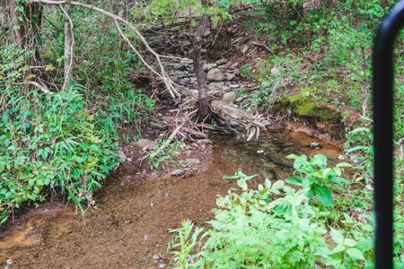Home And Cabin Site For Sale In Southeast Oklahoma - image 8