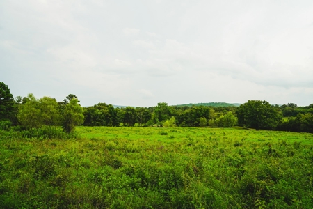Home And Cabin Site For Sale In Southeast Oklahoma - image 11