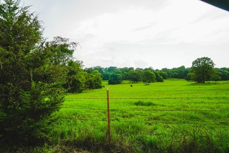 Home And Cabin Site For Sale In Southeast Oklahoma - image 20