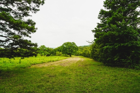 Home And Cabin Site For Sale In Southeast Oklahoma - image 14