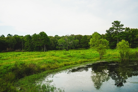 Home And Cabin Site For Sale In Southeast Oklahoma - image 16