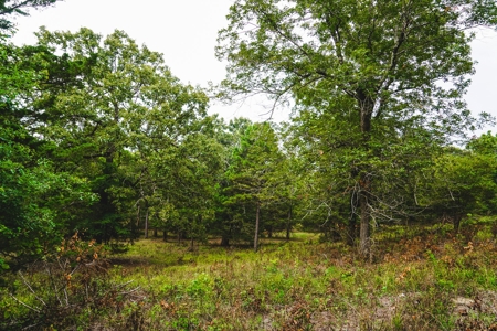 Home And Cabin Site For Sale In Southeast Oklahoma - image 22