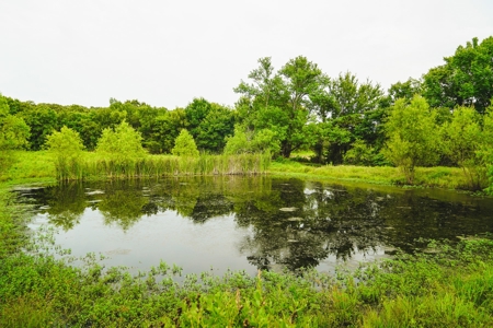 Home And Cabin Site For Sale In Southeast Oklahoma - image 15