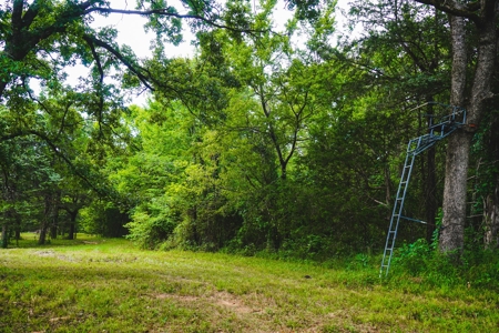 Home And Cabin Site For Sale In Southeast Oklahoma - image 1