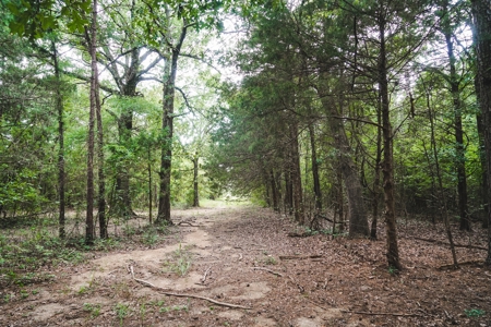 Home And Cabin Site For Sale In Southeast Oklahoma - image 13