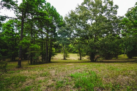 Home And Cabin Site For Sale In Southeast Oklahoma - image 24