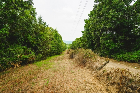Home And Cabin Site For Sale In Southeast Oklahoma - image 28
