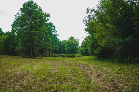 Home And Cabin Site For Sale In Southeast Oklahoma - image 4