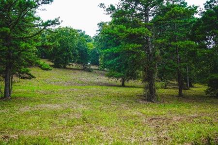 Home And Cabin Site For Sale In Southeast Oklahoma - image 3