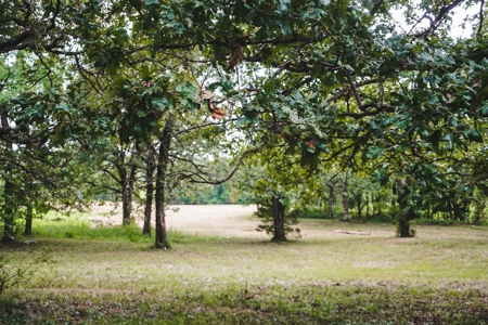 Home And Cabin Site For Sale In Southeast Oklahoma - image 7