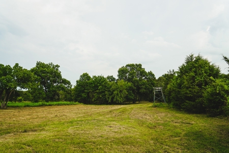 Home And Cabin Site For Sale In Southeast Oklahoma - image 19