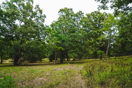 Home And Cabin Site For Sale In Southeast Oklahoma - image 25
