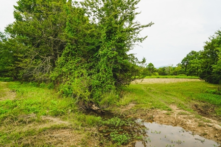 Home And Cabin Site For Sale In Southeast Oklahoma - image 17